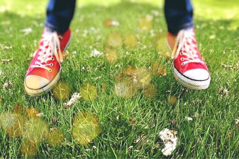 Las marcas de zapatillas para mujer