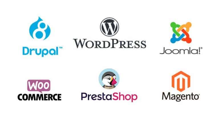 diferentes tipos de cms
