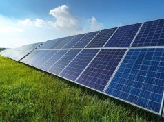 ¿Cómo funcionan las placas solares? placas solares en campo