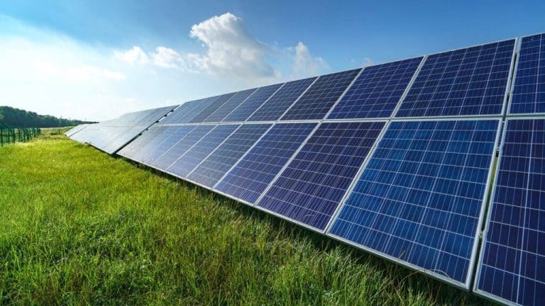 placas solares en campo