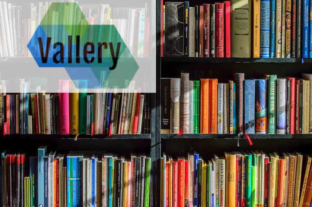 Books in Black Wooden Book Shelf