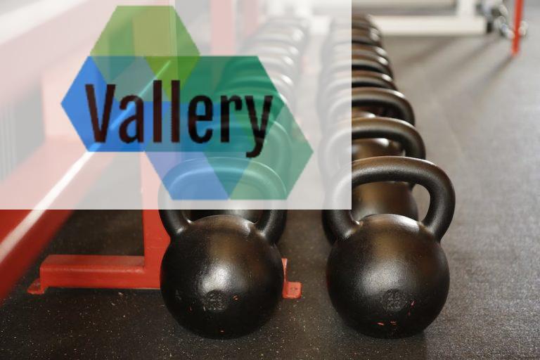 Black Kettle Bell Lot