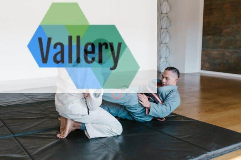 artes marciales salud mental