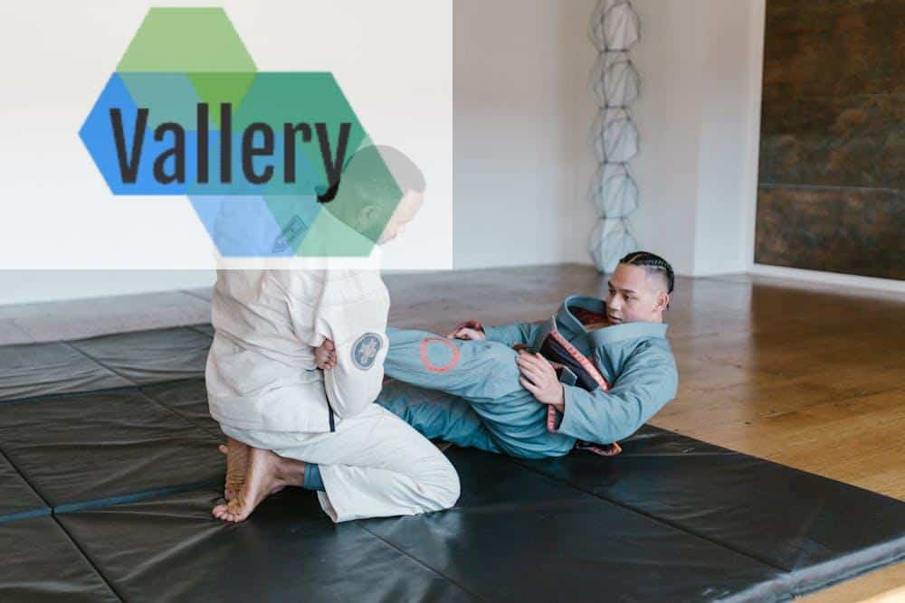 artes marciales beneficios para la mente artes marciales salud mental