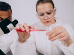 Ingredientes activos que transforman tu piel: guía práctica Ingredientes activos que transforman tu piel: guía práctica